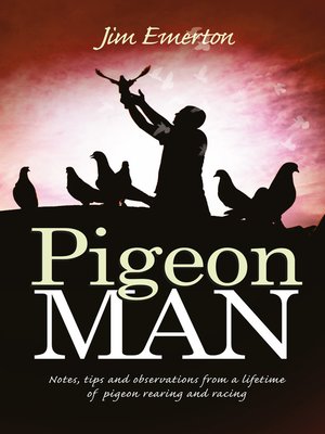cover image of Pigeon Man